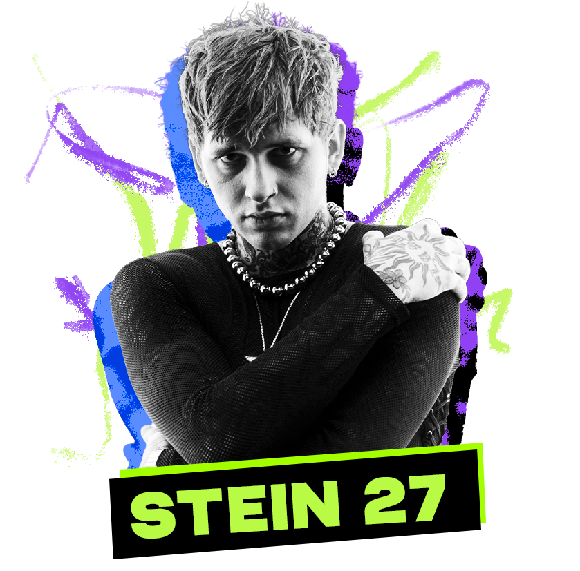 stein27